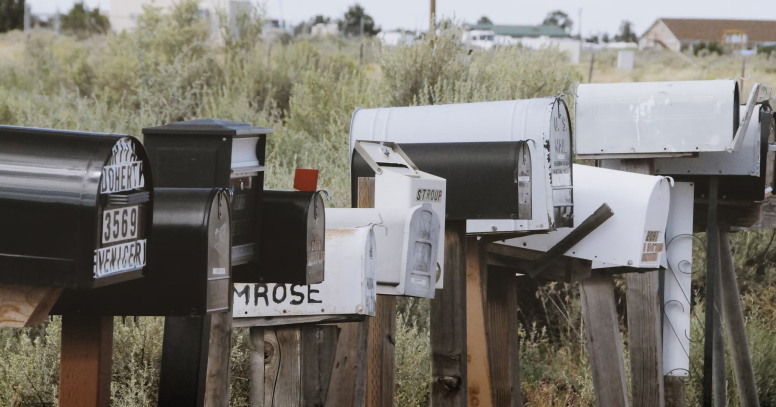 newsletter- newsletter-